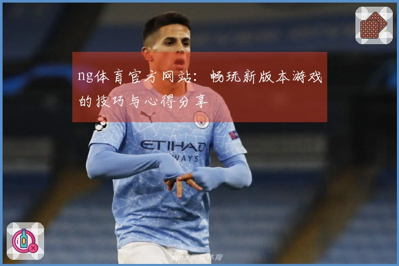 ng体育官方网站：畅玩新版本游戏的技巧与心得分享